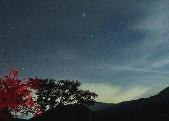Horoscope for 25 August