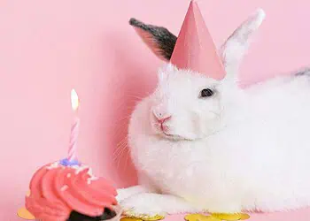 People Born on 4 January