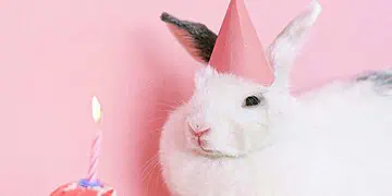 People Born on 4 January