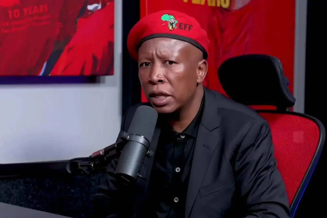 Julius Malema's R21.6 Million Property Empire