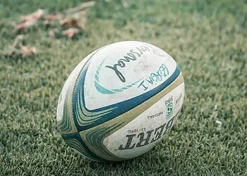 Springboks vs Los Pumas