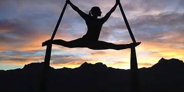 2025 Wellness Revolution