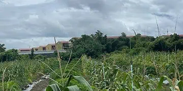 39 South Africans Escape Myanmar Scam Hell