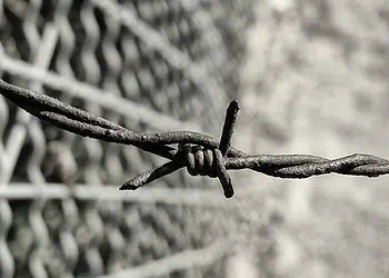 Beitbridge Border Crackdown