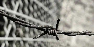 Beitbridge Border Crackdown
