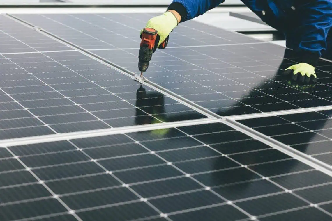 Durbans Solar Port Sparks an Export Surge - Saffarazzi Durbans Solar Port Sparks an Export Surge