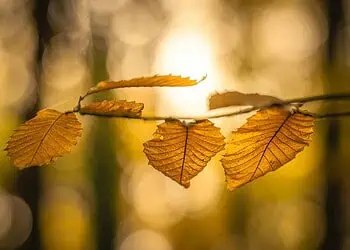 Horoscope for 27 October