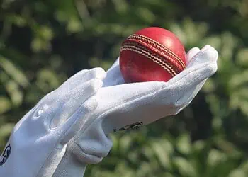 India vs South Africa Womens ODI Proteas Seek Redemption