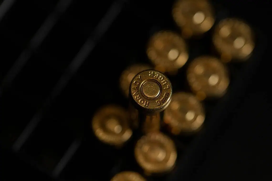 Musina Gun Bust