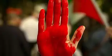 One Year On October 7 and South Africas Gaza Solidarity