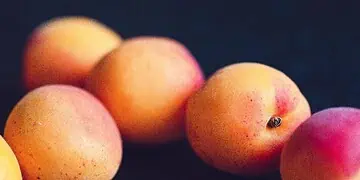 Peach to Prosperity