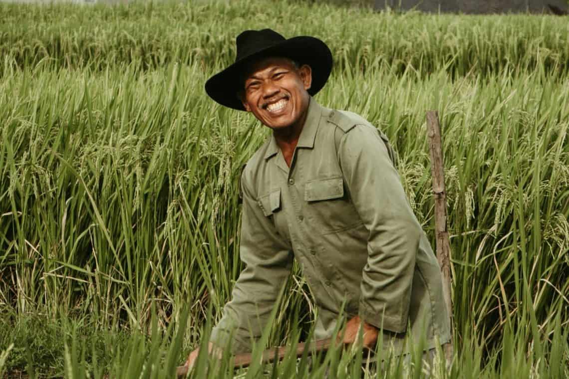 SA Agriculture Transformed New Opportunities for Emerging Farmers - Saffarazzi SA Agriculture Transformed New Opportunities for Emerging Farmers