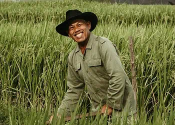 SA Agriculture Transformed New Opportunities for Emerging Farmers