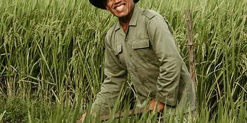 SA Agriculture Transformed New Opportunities for Emerging Farmers