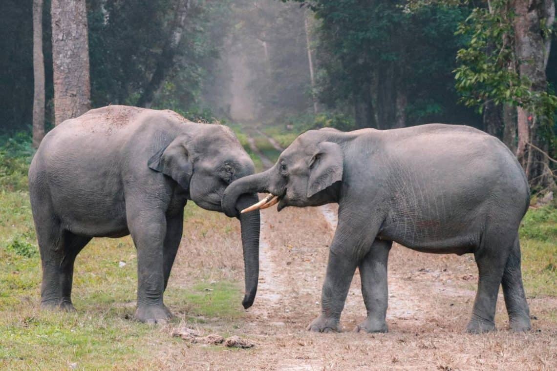 SAs National Parks Week Triumph 105K Visitors Signal Eco-Tourism Revival