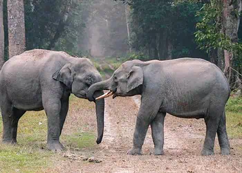 SAs National Parks Week Triumph 105K Visitors Signal Eco-Tourism Revival