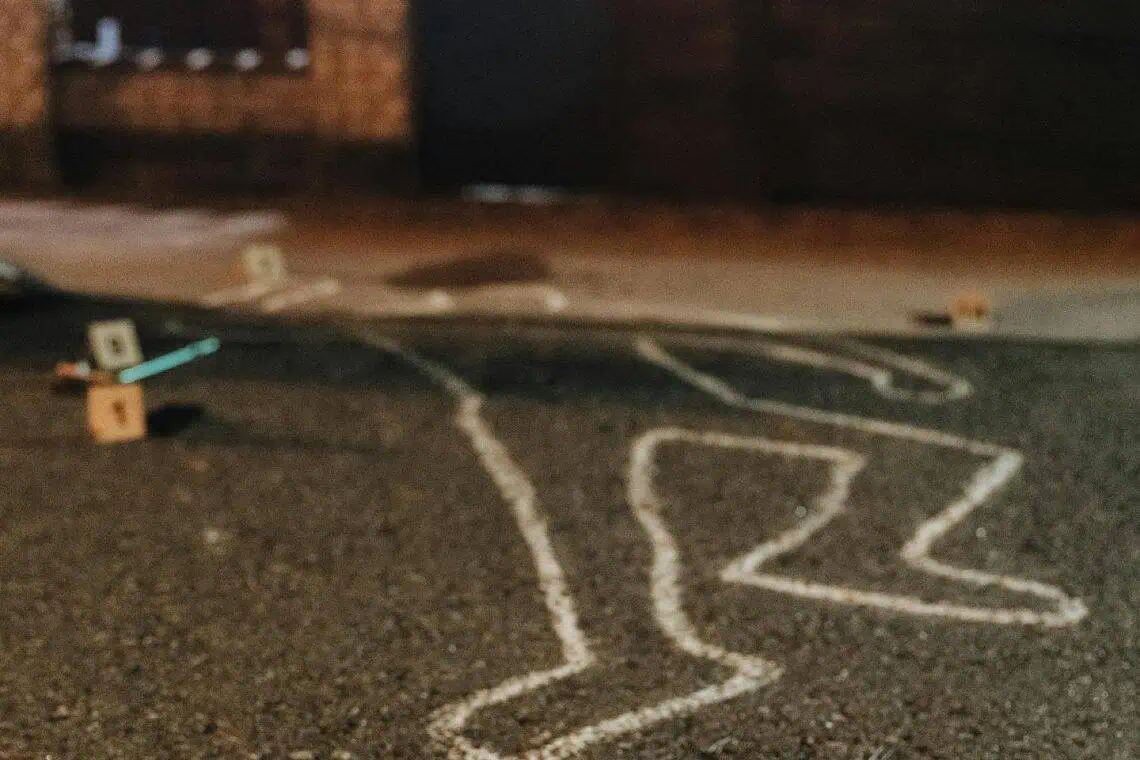South Africa at Risk Police Minister Warns of Escalating Gang Violence