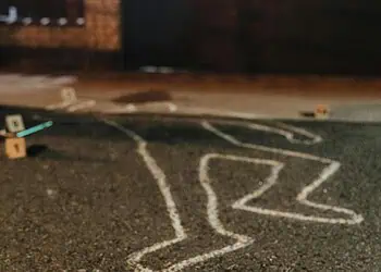 South Africa at Risk Police Minister Warns of Escalating Gang Violence