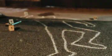 South Africa at Risk Police Minister Warns of Escalating Gang Violence