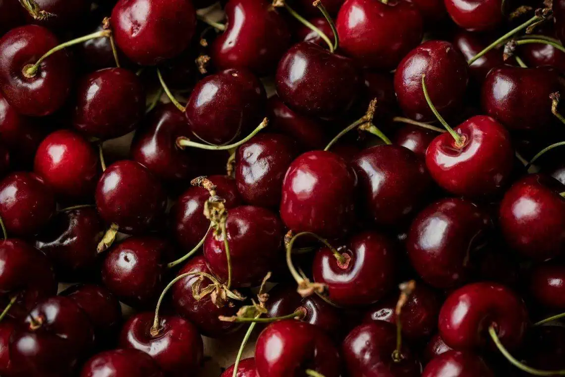 South Africas Sweetest Cherry Rush Starts Now - Saffarazzi South Africas Sweetest Cherry Rush Starts Now