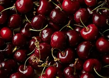 South Africas Sweetest Cherry Rush Starts Now