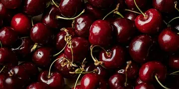 South Africas Sweetest Cherry Rush Starts Now