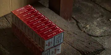 South Africas Tobacco Crisis