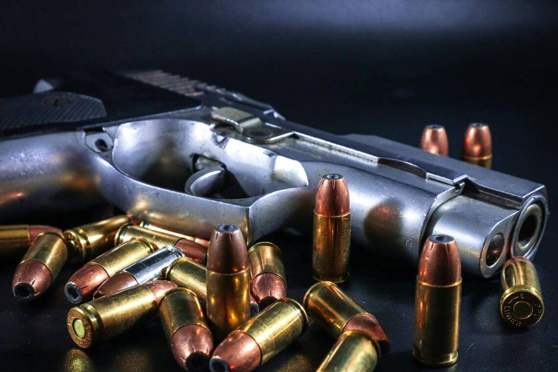 Tragic Farm Shooting Spurs Urgent Gun Safety Debate