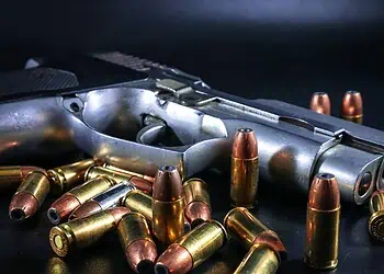 Tragic Farm Shooting Spurs Urgent Gun Safety Debate