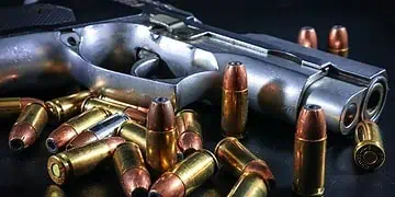 Tragic Farm Shooting Spurs Urgent Gun Safety Debate