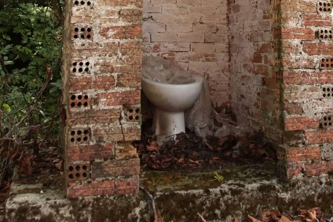 Unecebos Tragedy Ignites School Toilet Revolution