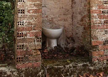 Unecebos Tragedy Ignites School Toilet Revolution