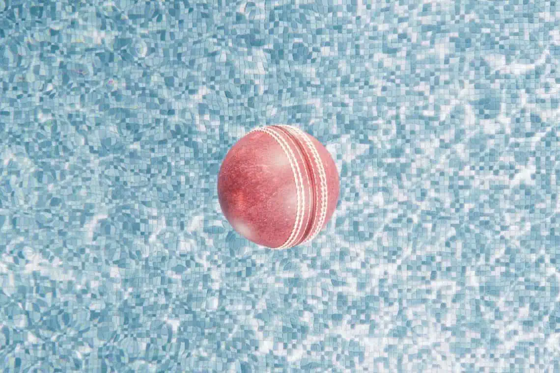 Eden Epic Proteas Miracle Chase Thrills