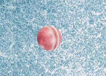Eden Epic Proteas Miracle Chase Thrills