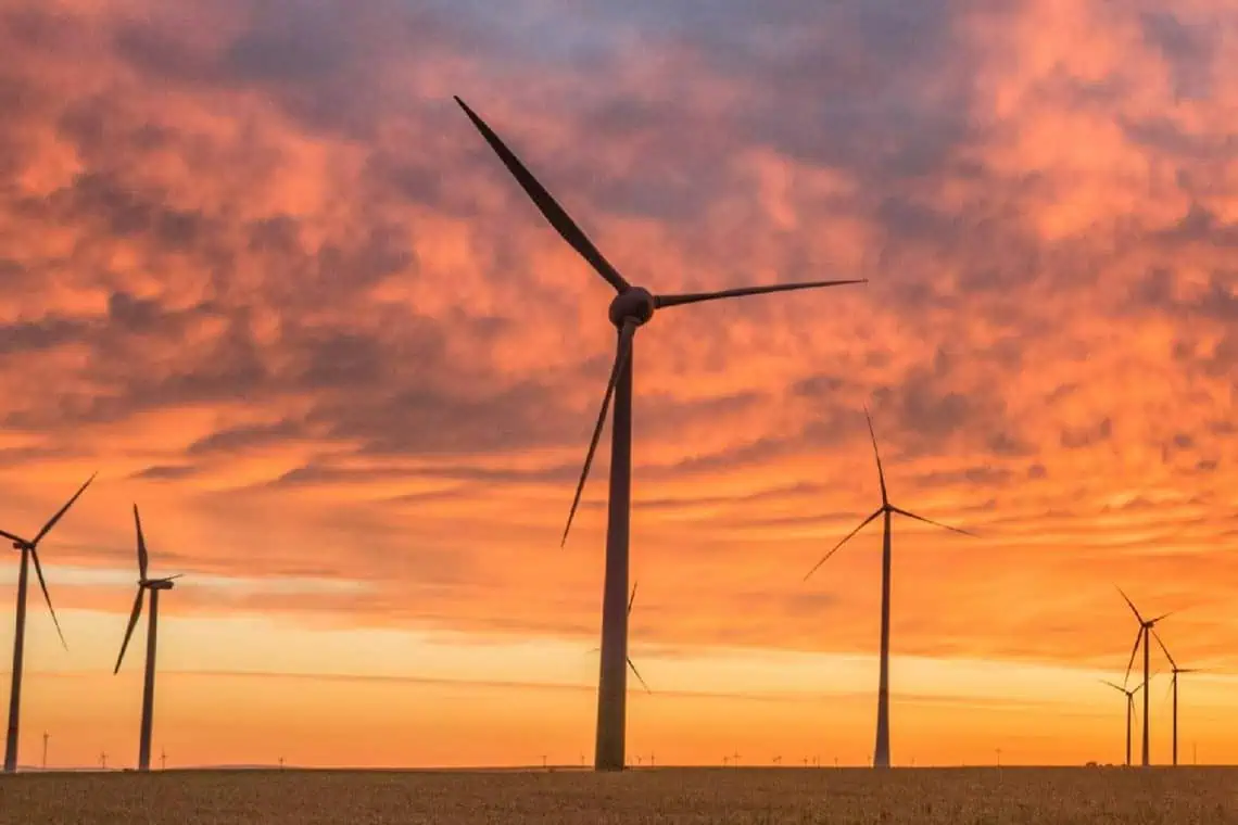 Eskoms 220GW Renewables Surge Blackouts End