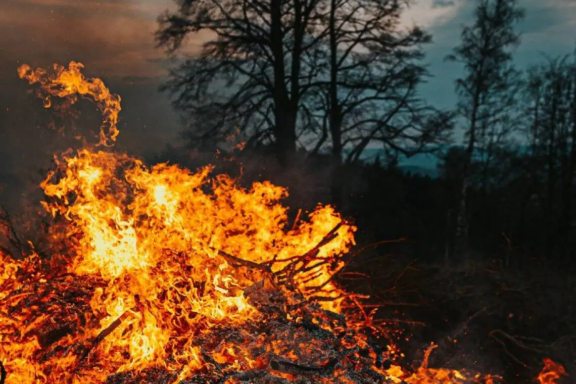 Free State Firestorm