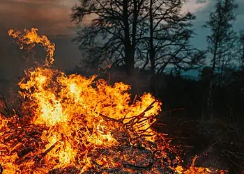 Free State Firestorm
