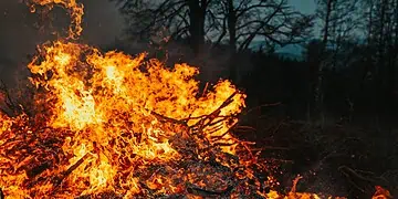 Free State Firestorm