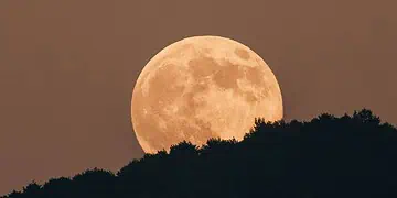 Horoscope for 13 November