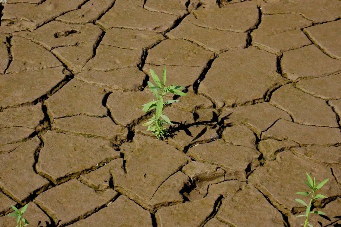 Jozi Summit R5B Drought-Proof Agri Revolution
