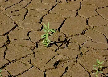 Jozi Summit R5B Drought-Proof Agri Revolution