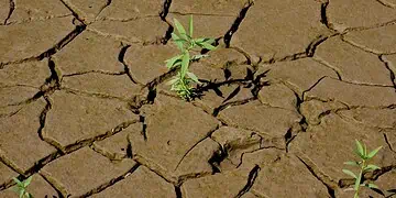 Jozi Summit R5B Drought-Proof Agri Revolution
