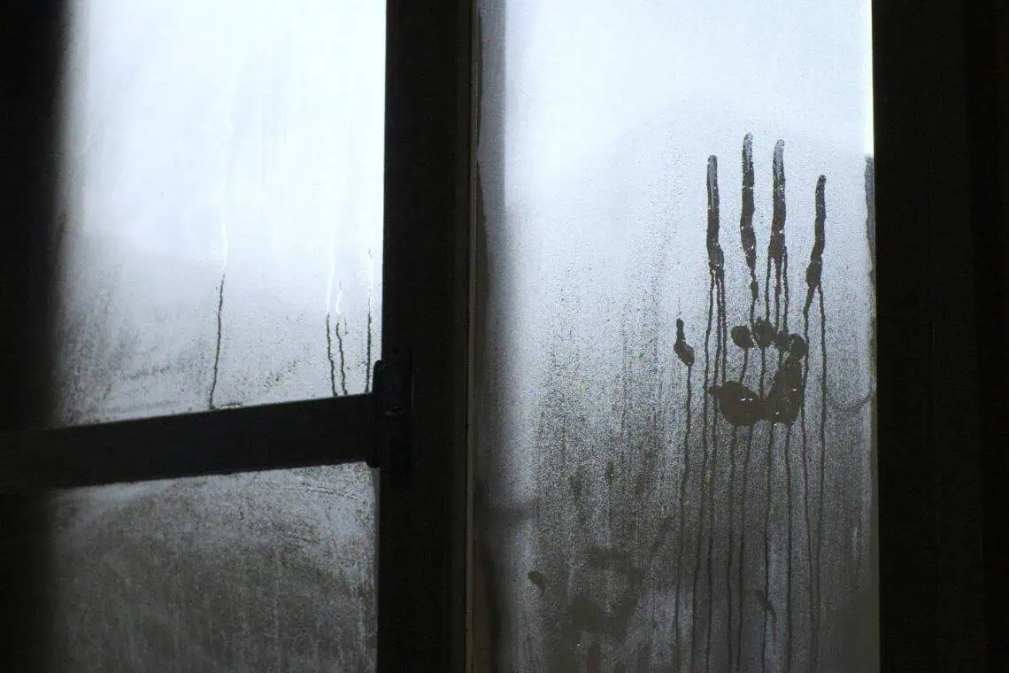 Limpopo Horror Farm Torture Ignites Safety Surge