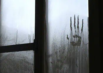 Limpopo Horror Farm Torture Ignites Safety Surge