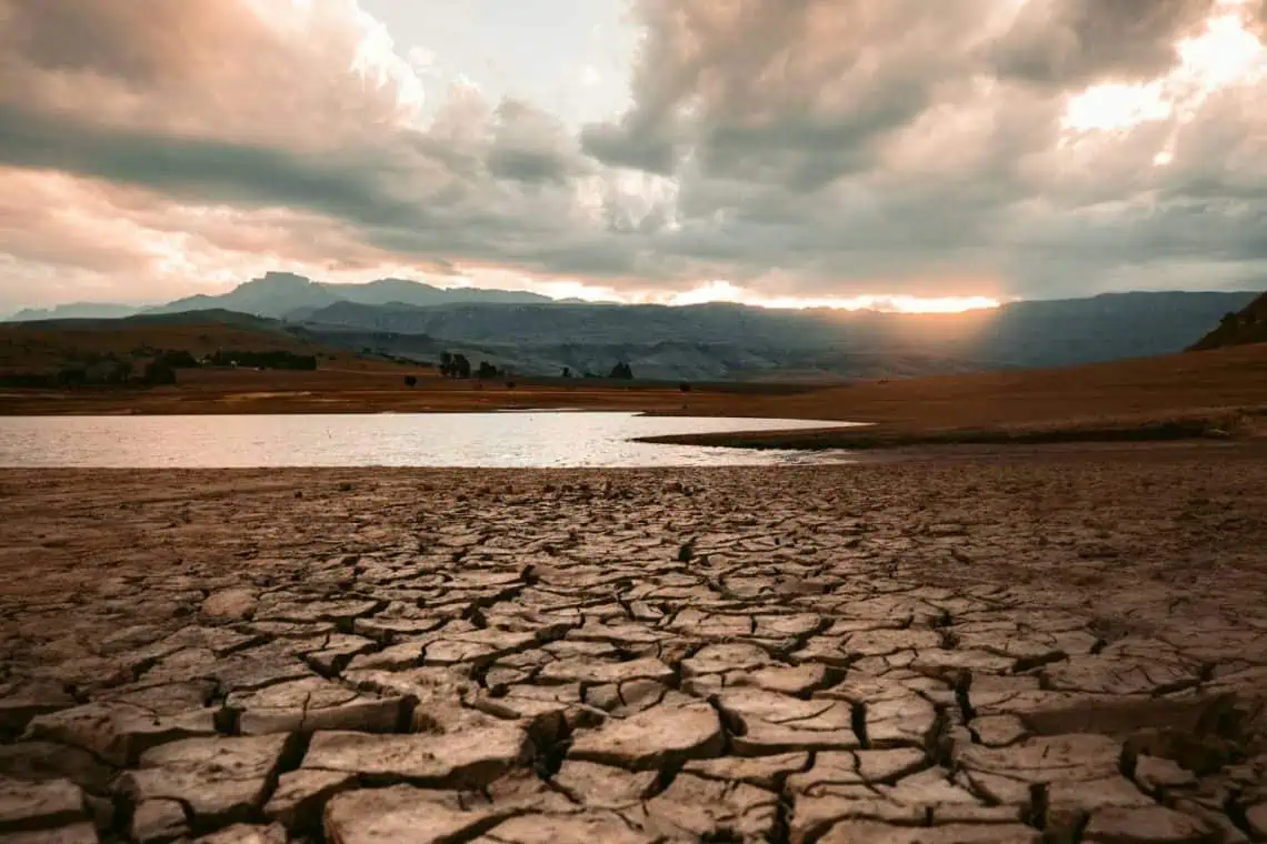 Puntlands Famine Shadow SAs Drought Lifelines