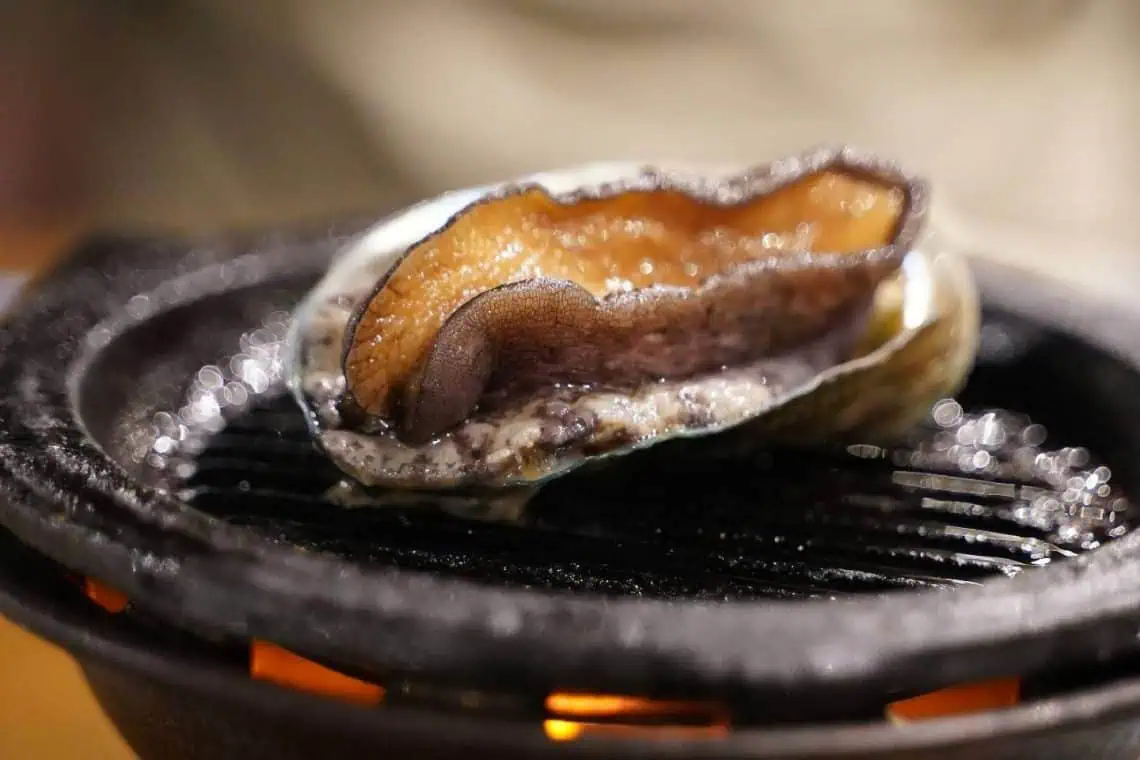 R3M Abalone Bust Shakes Poaching Rings