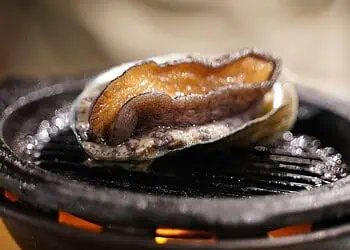 R3M Abalone Bust Shakes Poaching Rings