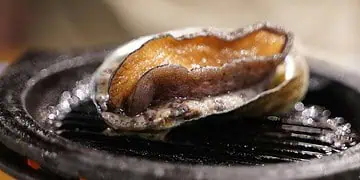 R3M Abalone Bust Shakes Poaching Rings