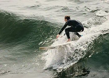 Shark Nets Gone Will KZN Waves Stay Safe
