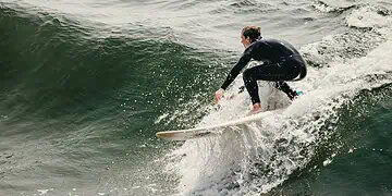 Shark Nets Gone Will KZN Waves Stay Safe